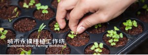 Sustainable Urban Farming Workshop 城市永續種植工作坊